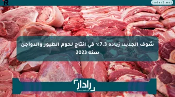 شوف الجديد: زيادة 7.3٪ في إنتاج لحوم الطيور والدواجن سنة 2023
